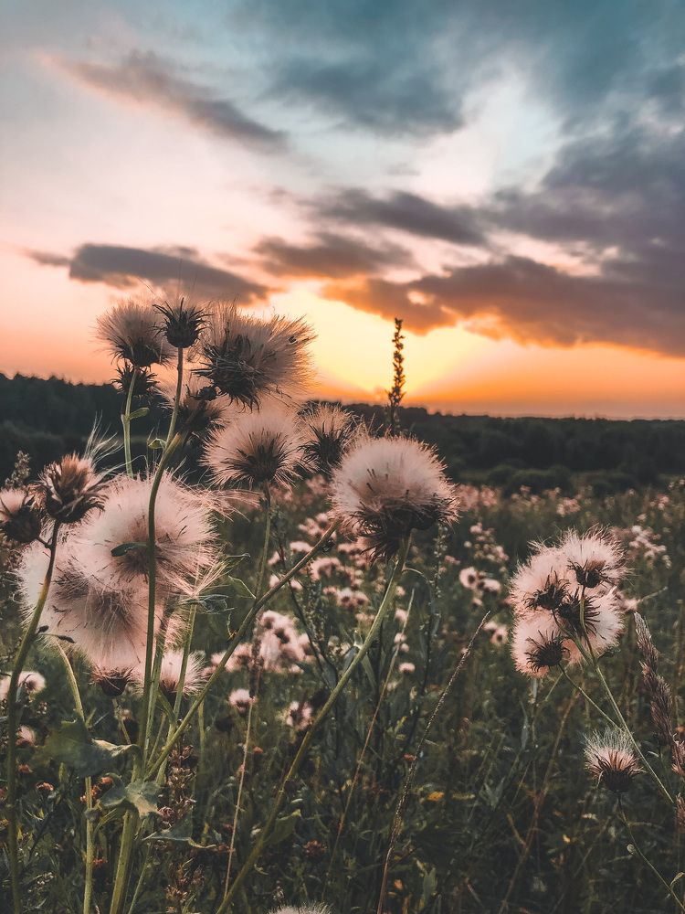 Photograph by Алена Воронова