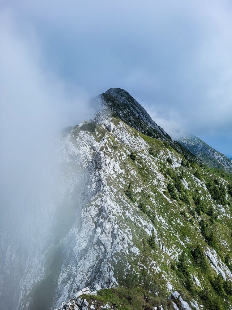 Photograph by David-Alexandru Span