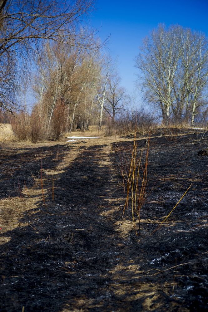 Photograph by Анатолий Стафичук