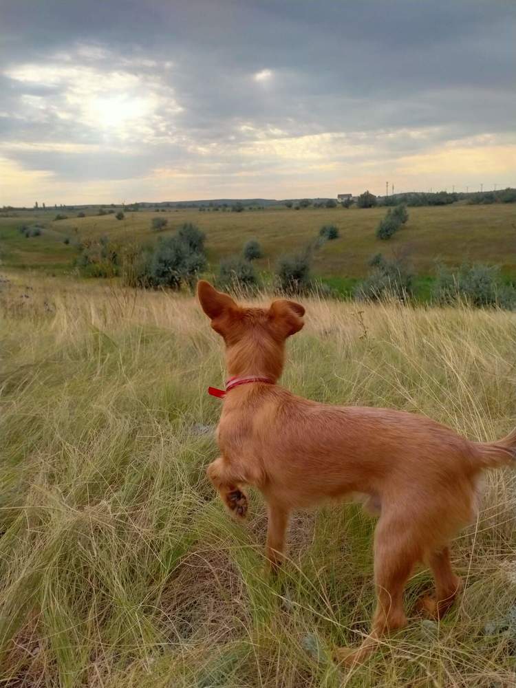 Photograph by Анастасия