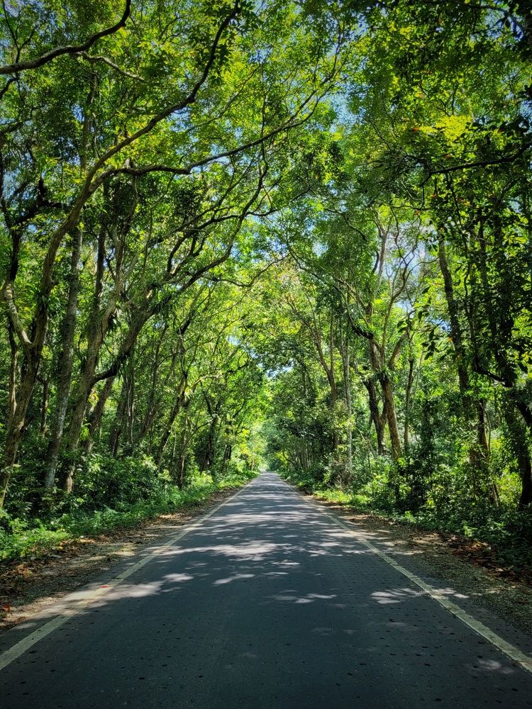 Photograph by Subhajit Bhowmick