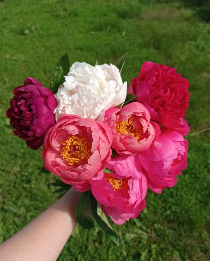 Photograph by Ирина Марченко