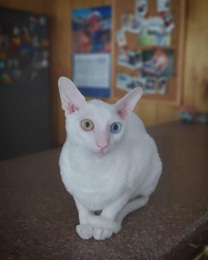 Фотография автора Юра Кладухин