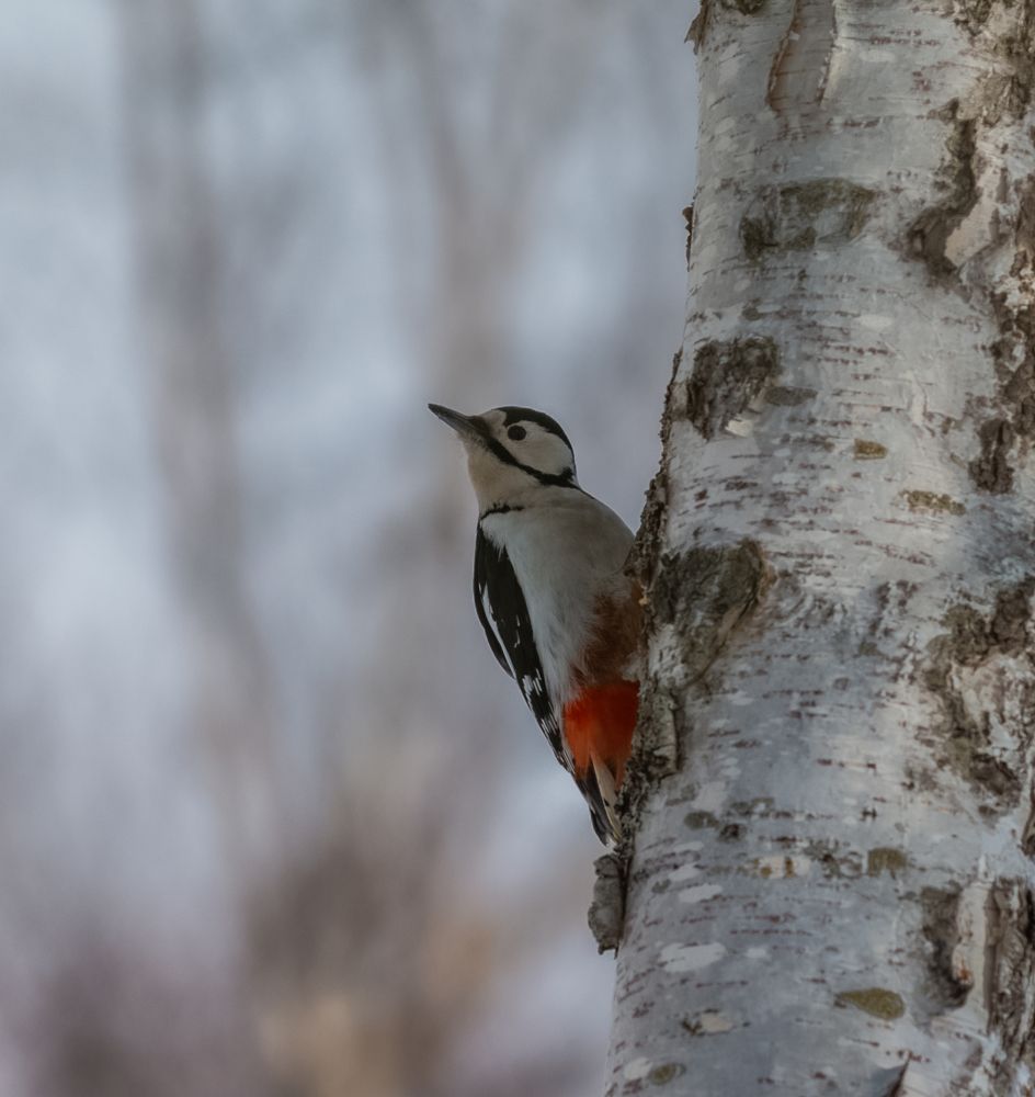 Photograph by Владимир