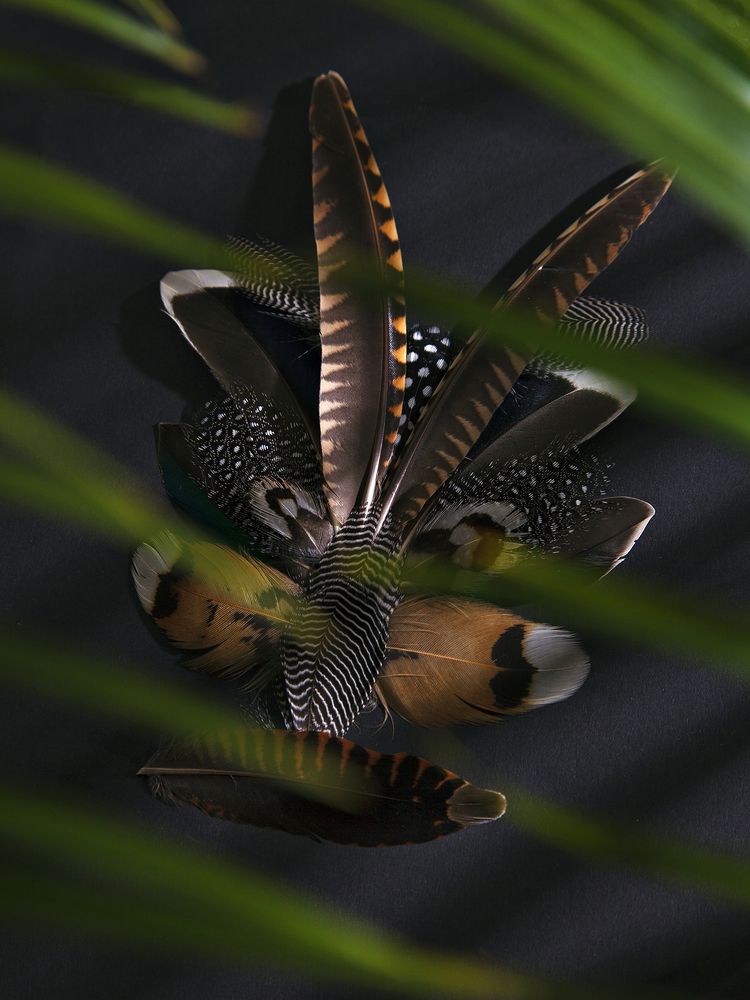 Photograph by Юлия Золотухина