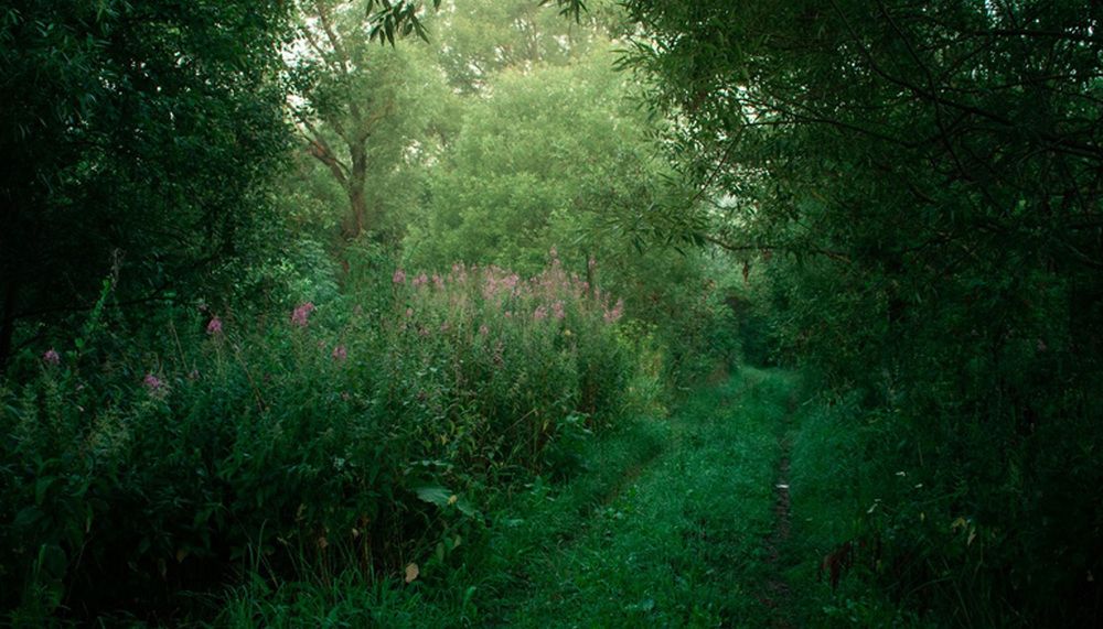 Photograph by Семён Чернобельский