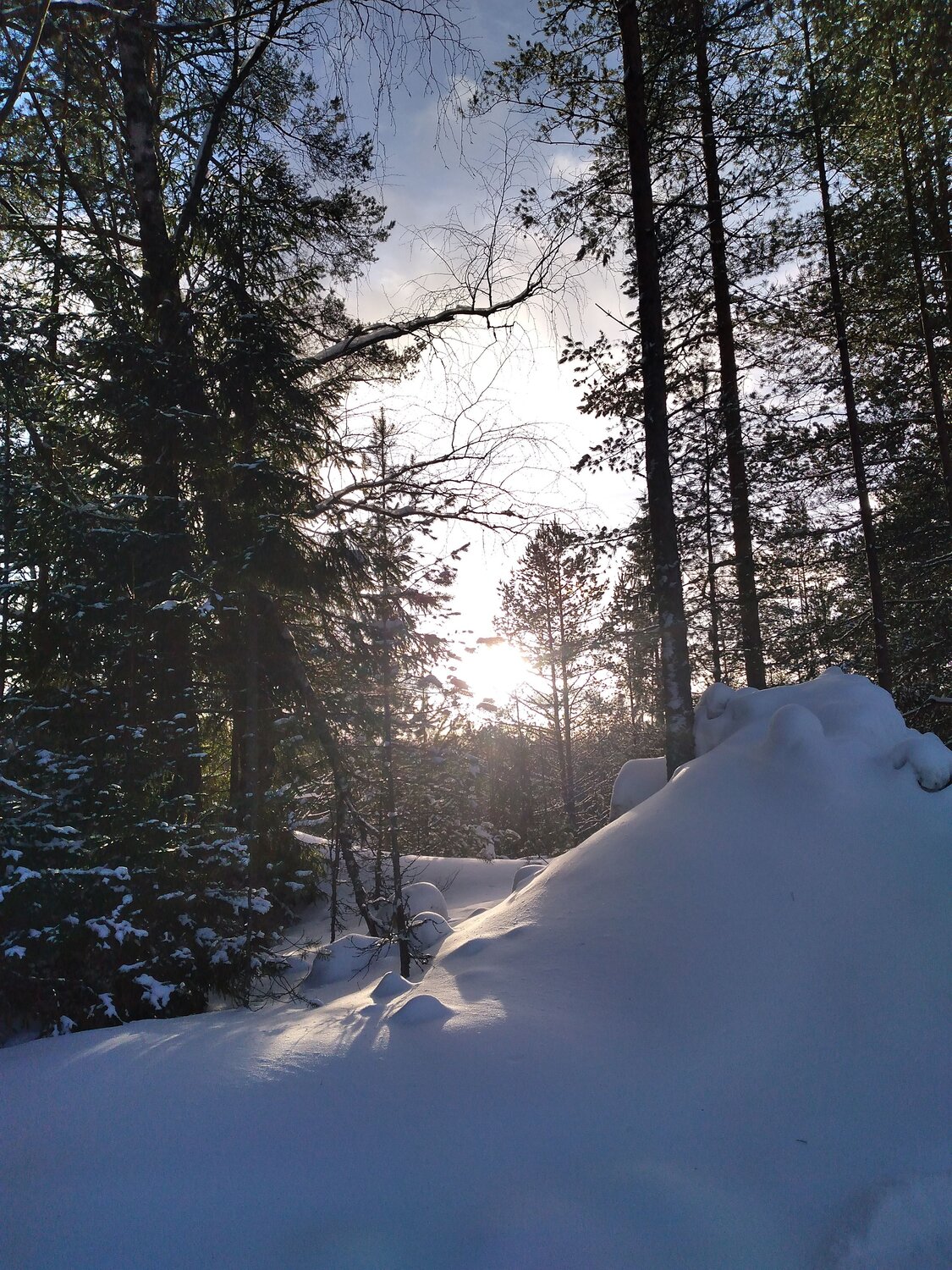 Photo #8964144