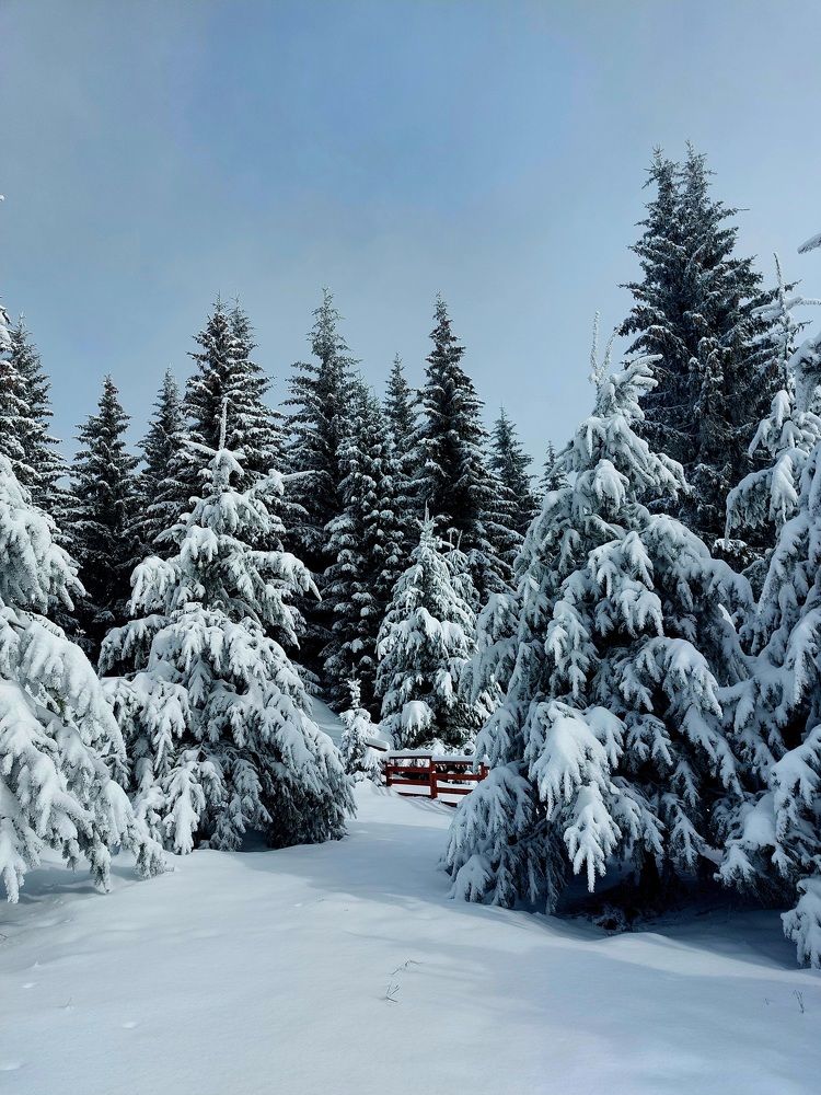 Photograph by Dafinka Sokoloska