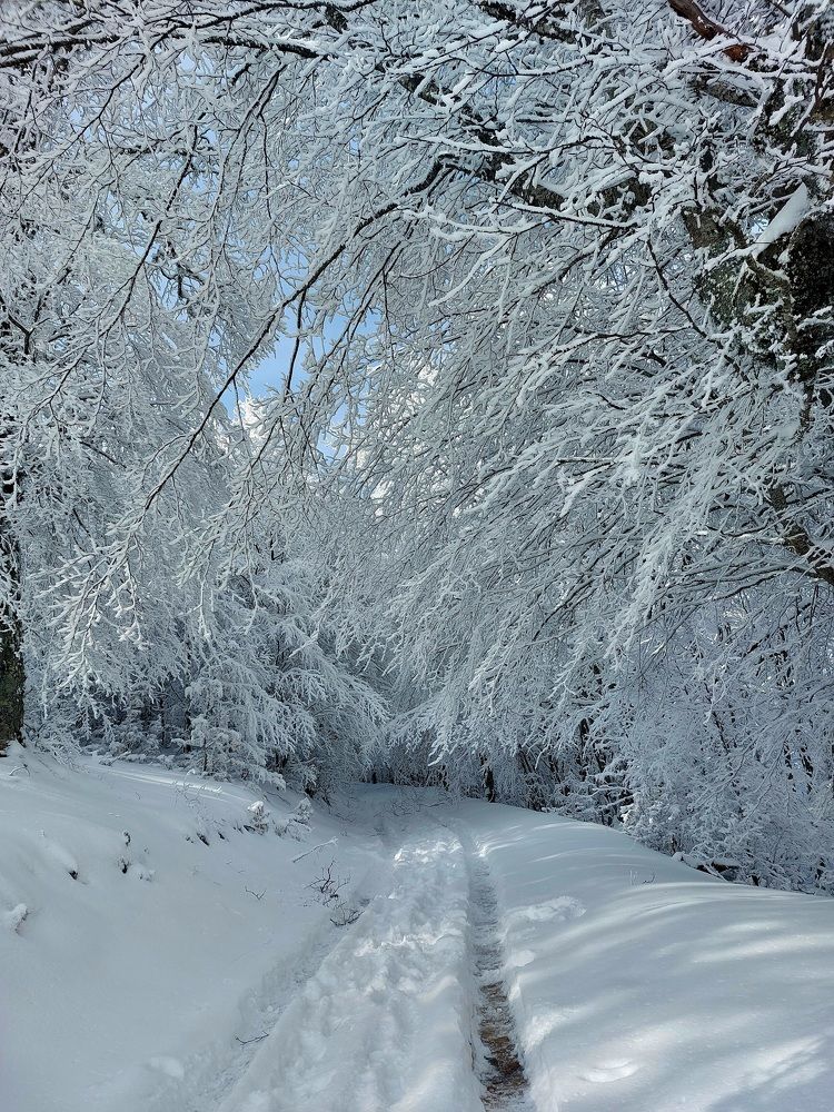 Photograph by Dafinka Sokoloska