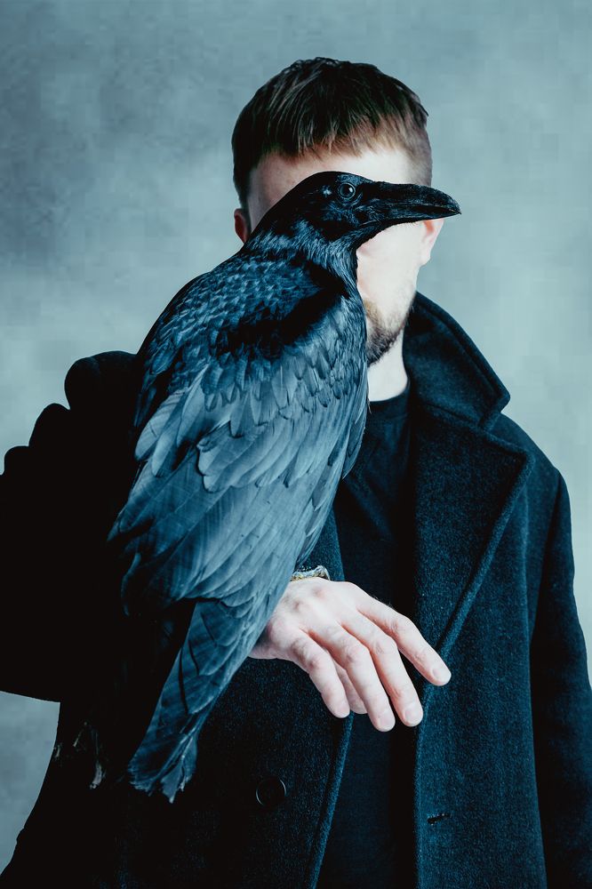 Фотография автора Дарья Дар