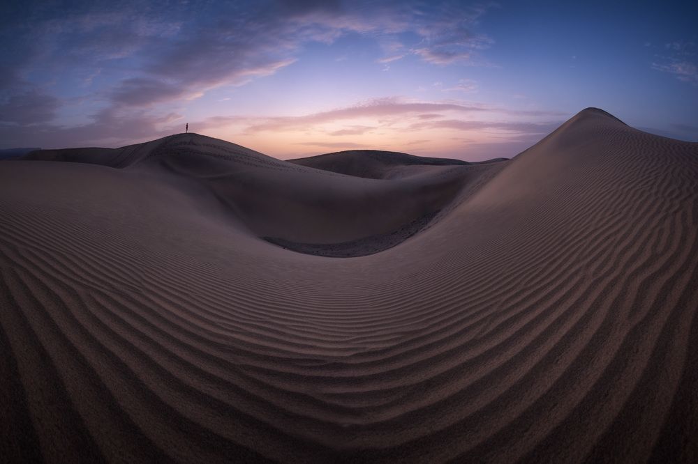 Photograph by david Navia