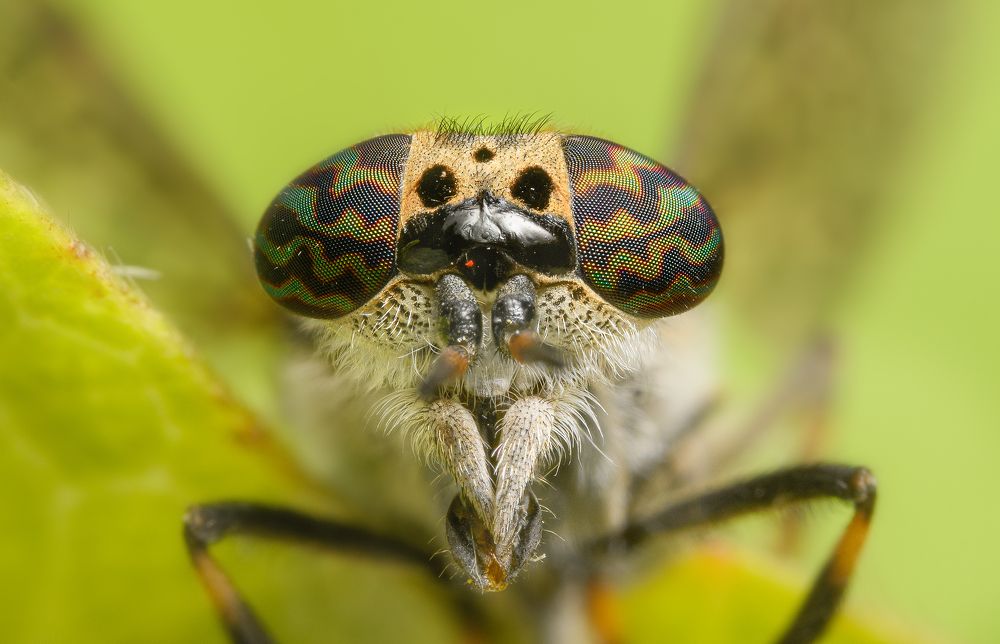 Photograph by Sergei Troitski