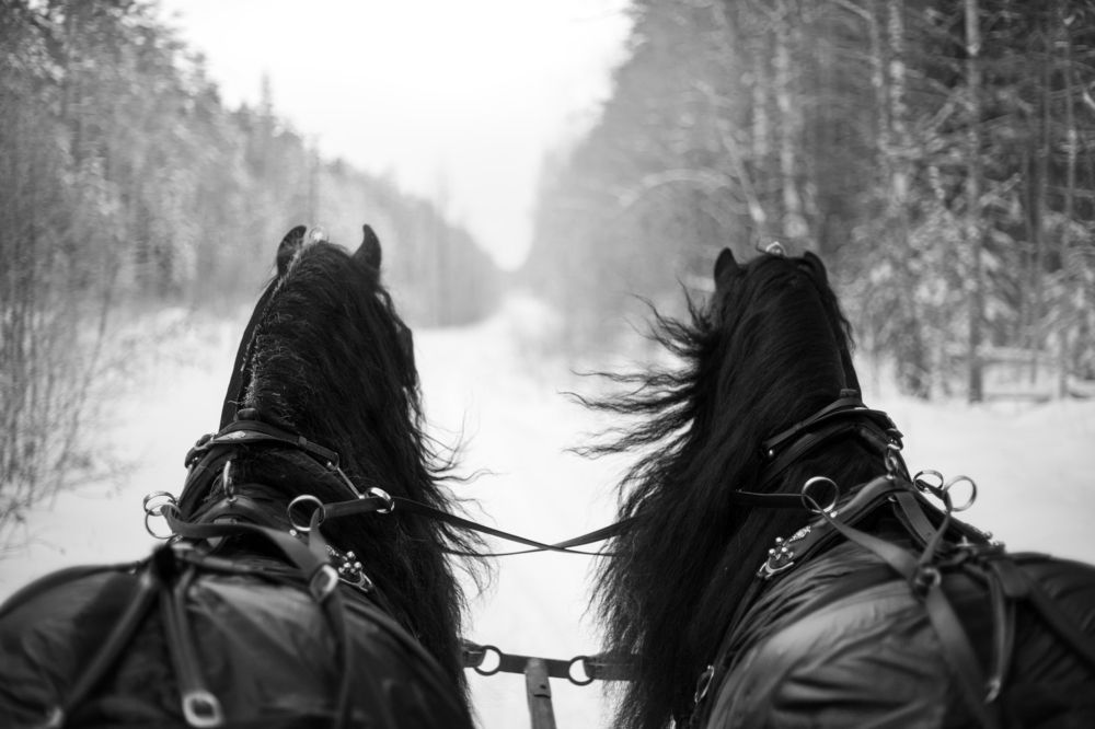 Photograph by Екатерина Михайлова