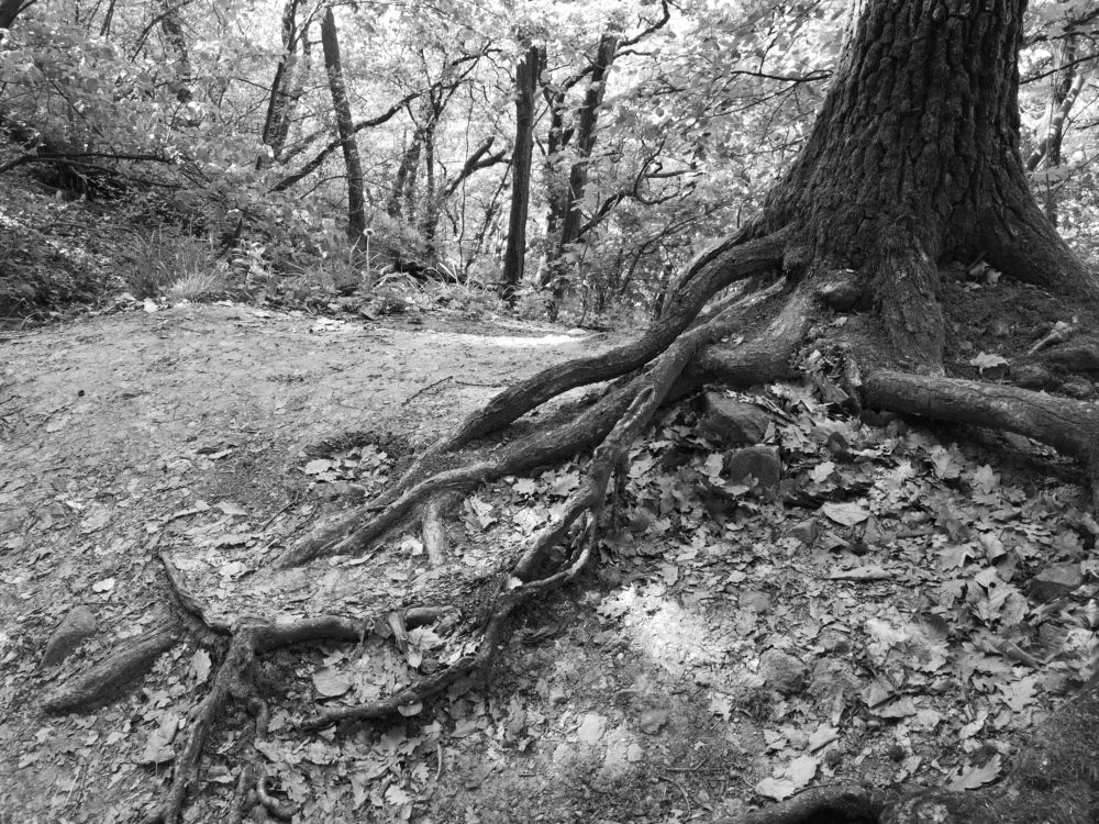 Photograph by Marina Razheva