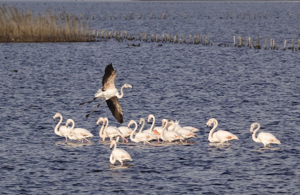 Photograph by Stamen Sotirov