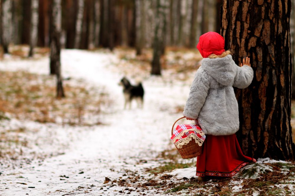 Фотография автора Галина Аверьянова