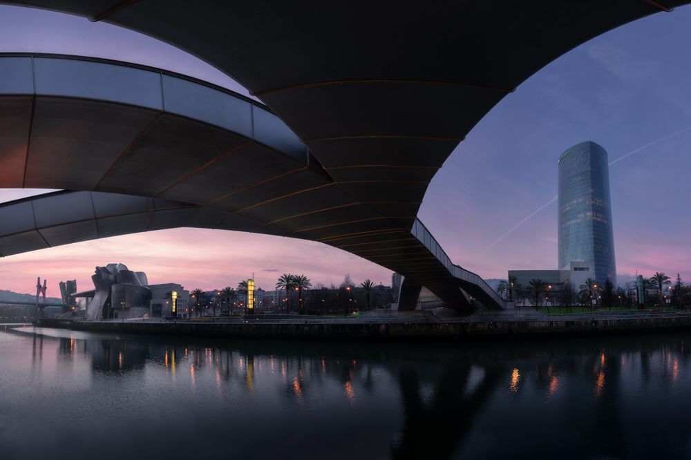 Фотография автора david Navia