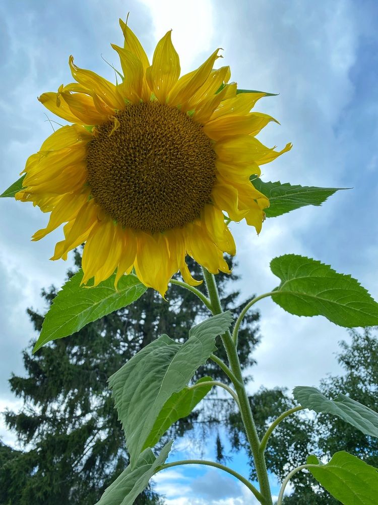 Photograph by Наталья