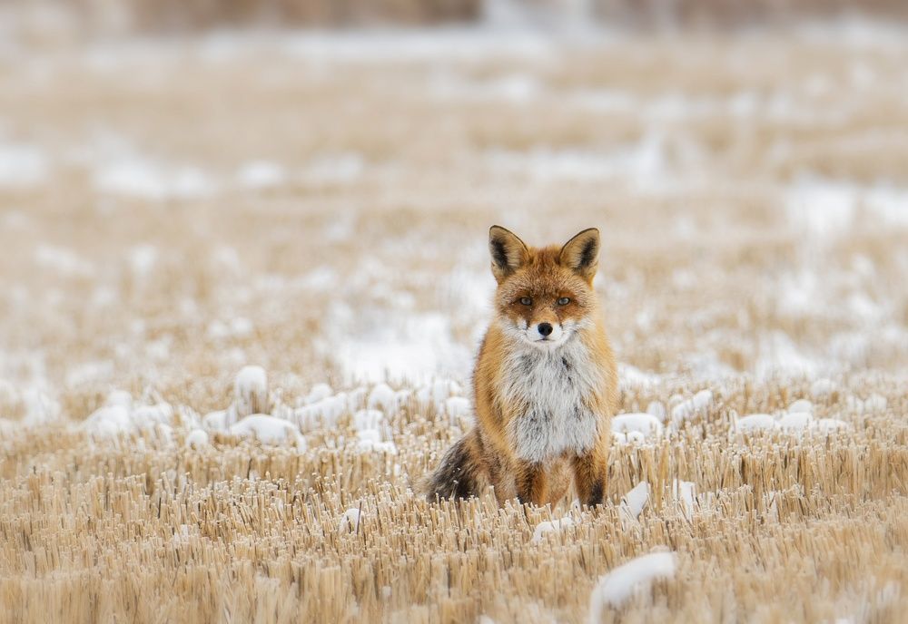 Photograph by Sergei Troitski