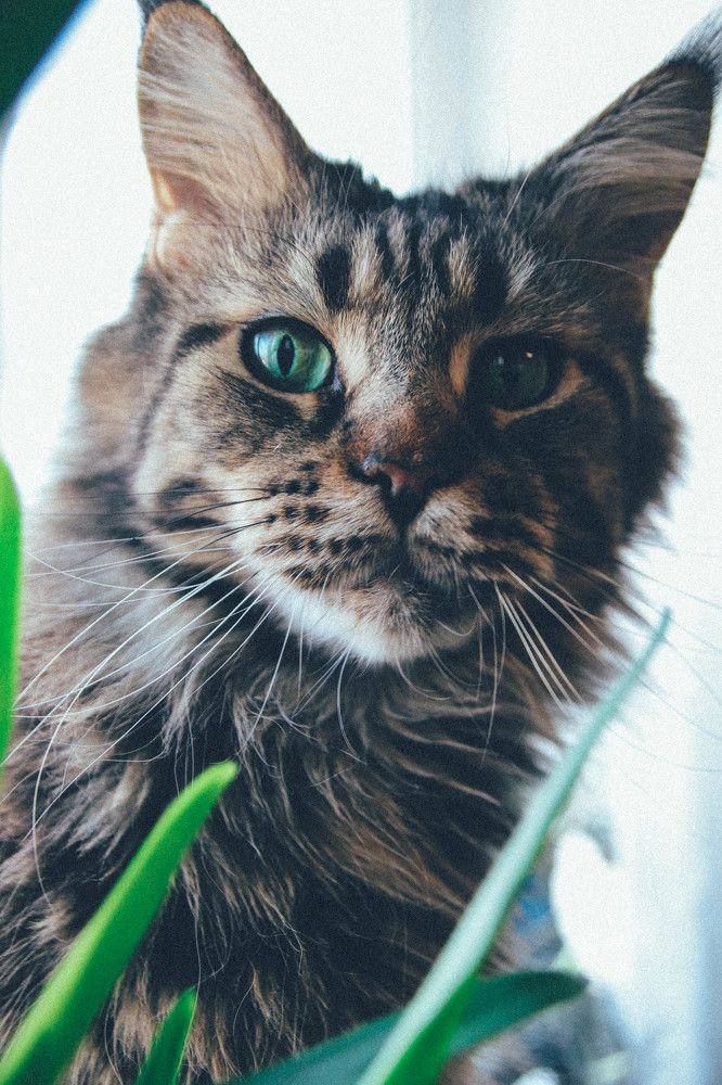 Photograph by Евгения Сенченко