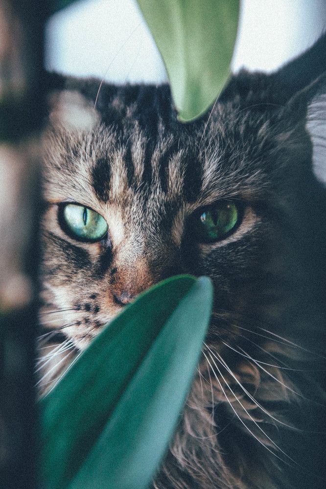 Photograph by Евгения Сенченко