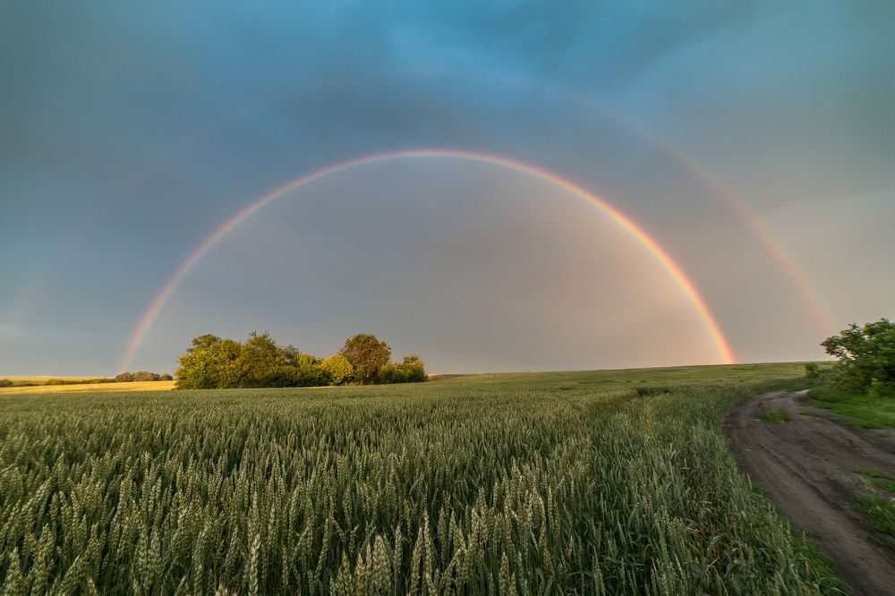 Photograph by Алексей Юденков