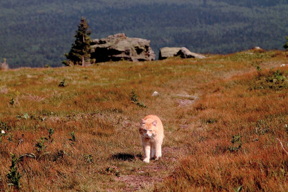 Photograph by Ольга Слотвинская