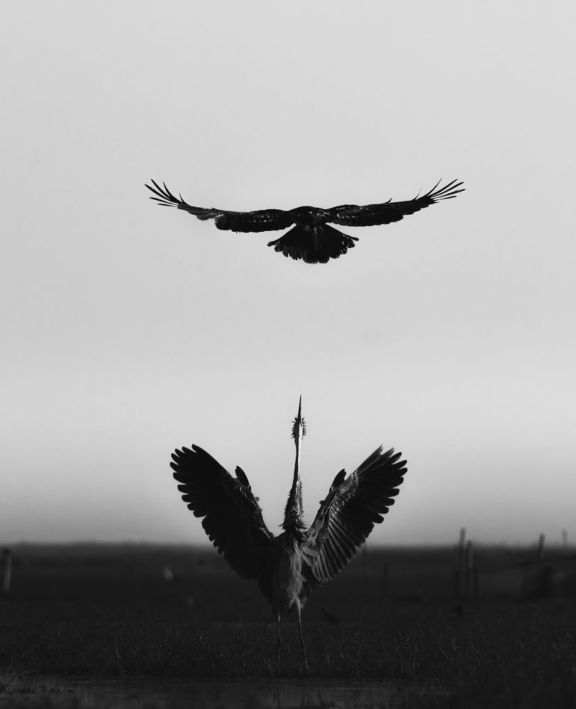 Photograph by Vinay Badhe