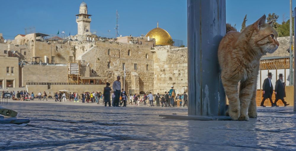 Photograph by Igor Tourovski