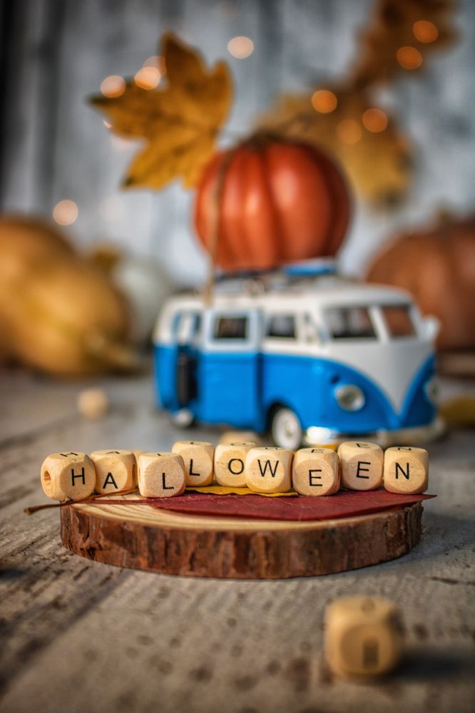 Фотография автора Пищулова Анастасия