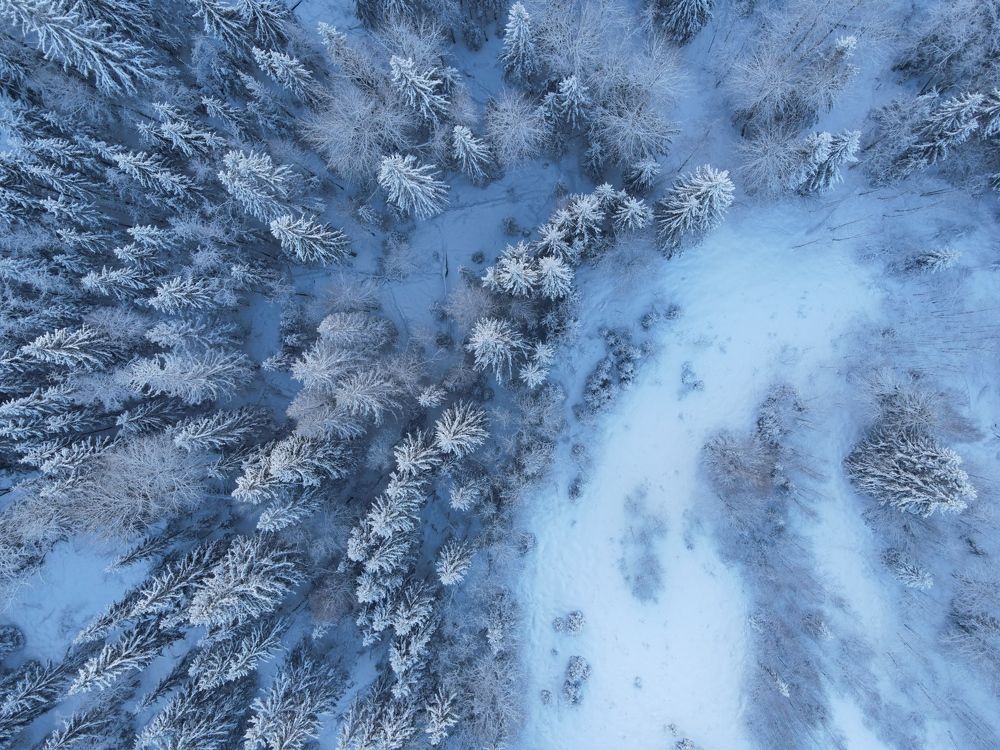 Photograph by Александр Сочнев