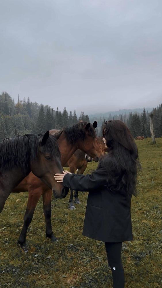 Photograph by Альфия Лукманова