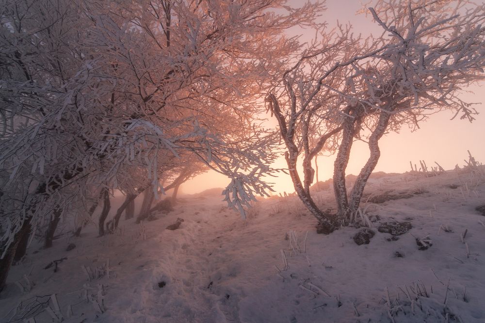 Photograph by Lukas Kulla