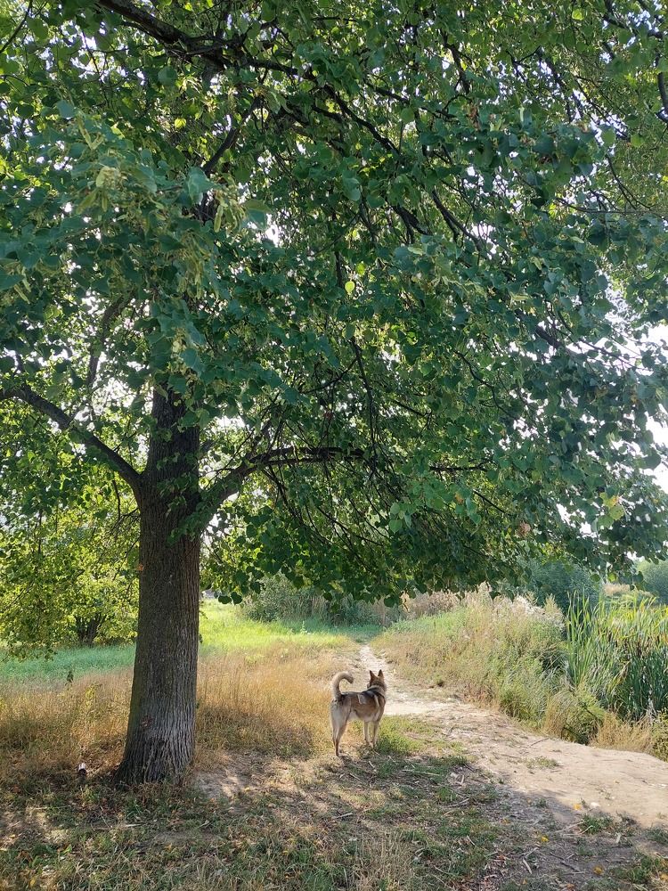 Photograph by Елизавета