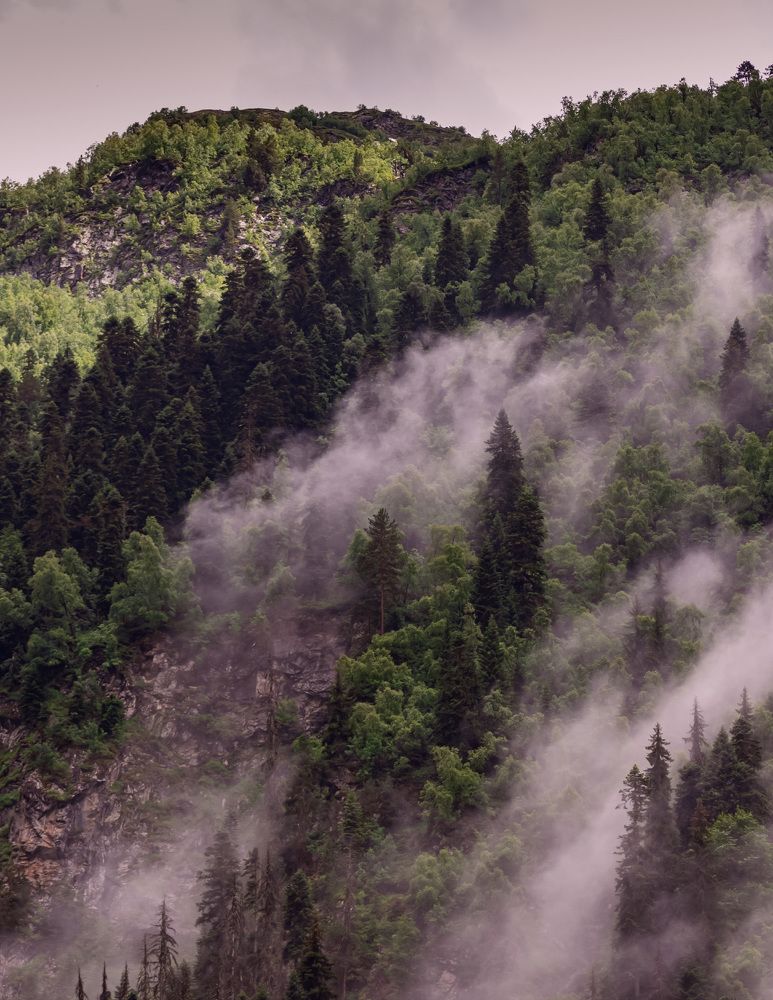 Photograph by Юлия Страданченкова