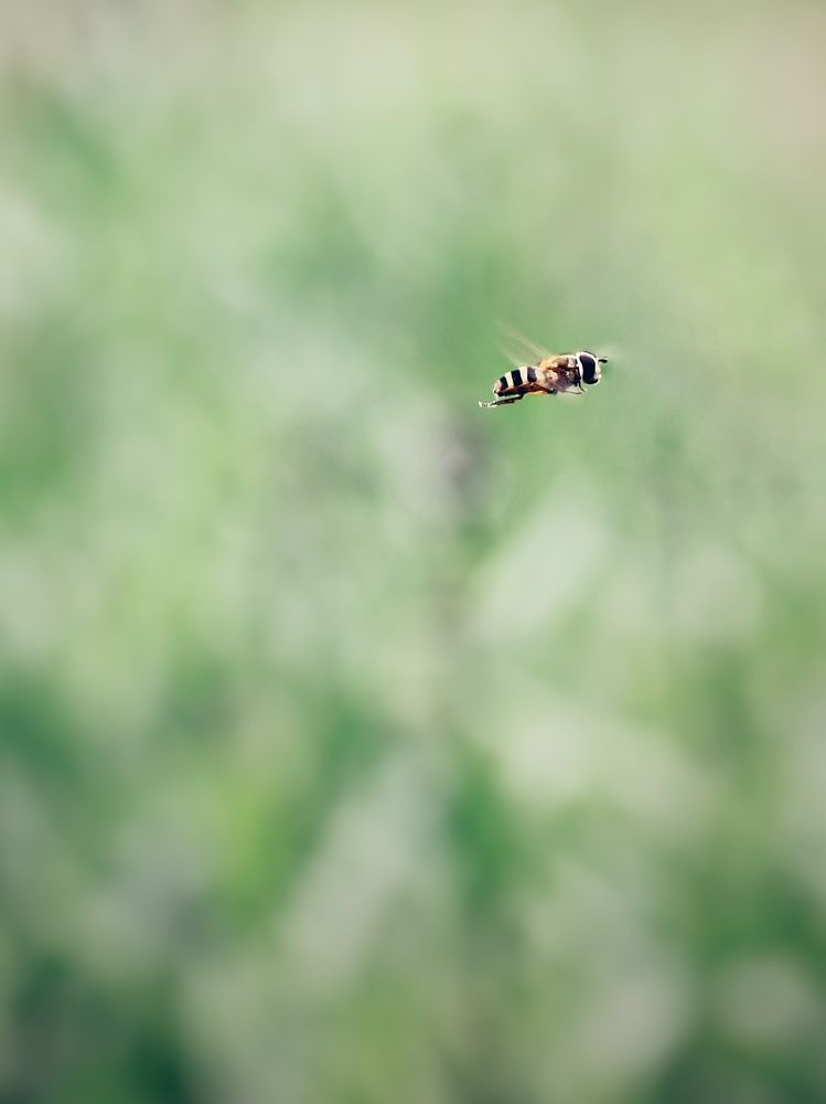 Photograph by Наталия Долганова