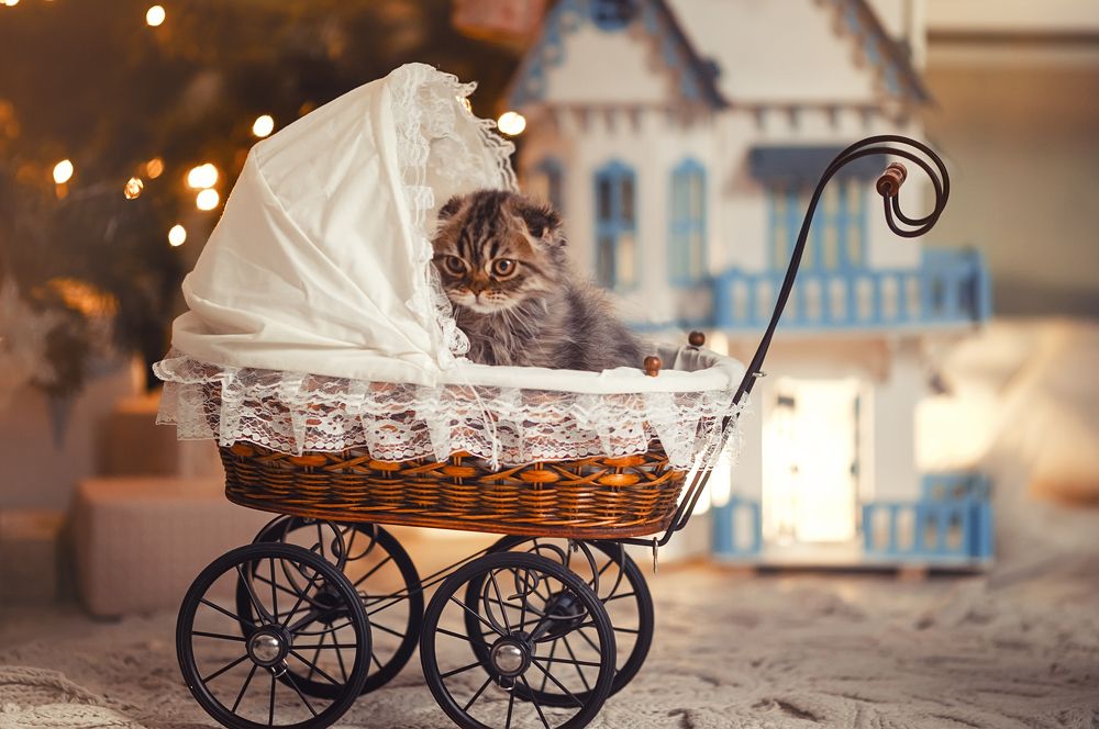 Photograph by Наталья Шкроб