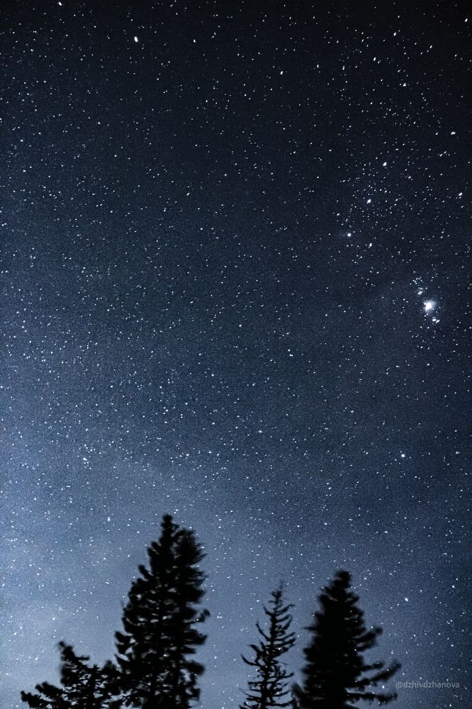 Фотография автора Boryana Dzhivdzhanova