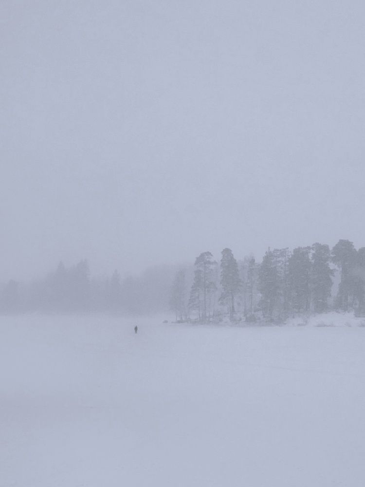 Photograph by Артем Солдатов