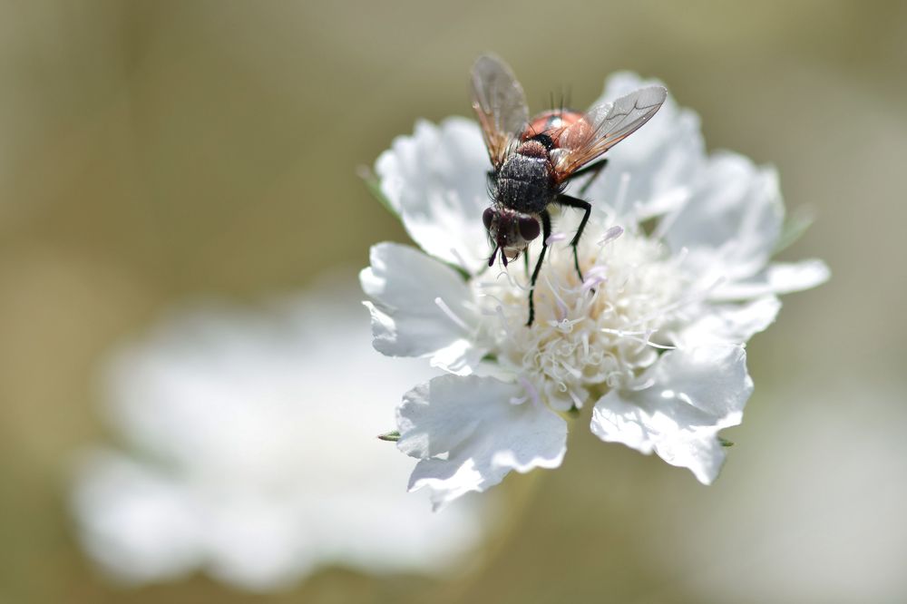 Photograph by Bilyana Dyankova