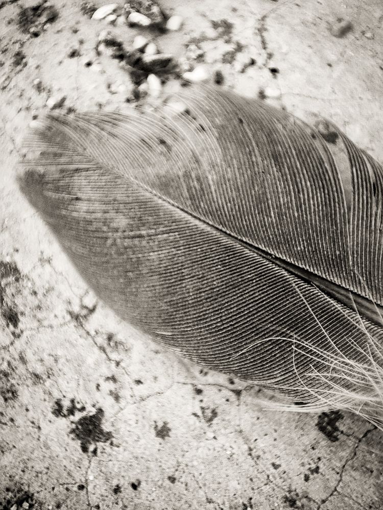 Photograph by ABHI KALKANI