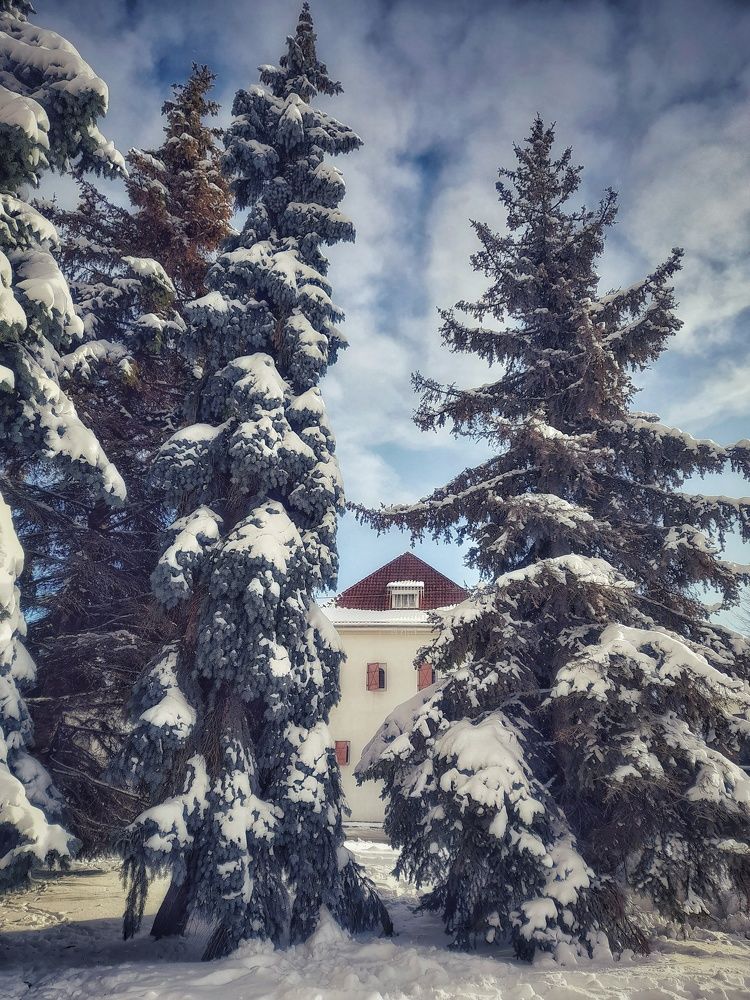 Photograph by Станислава