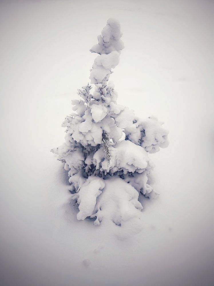 Photograph by Станислава