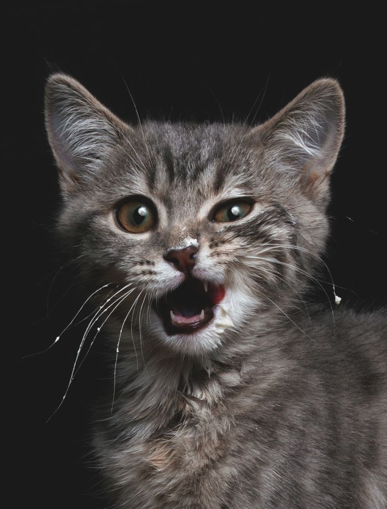 Photograph by Расторгуева Оксана