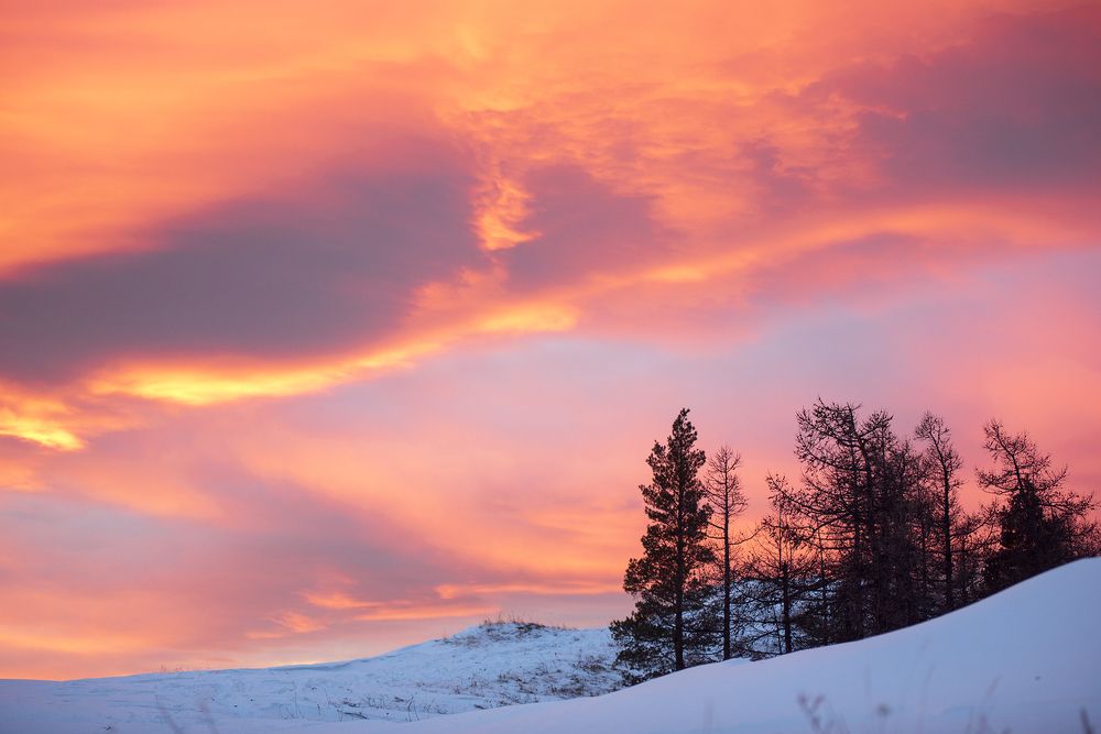 Фотография автора Сергей Сынтин