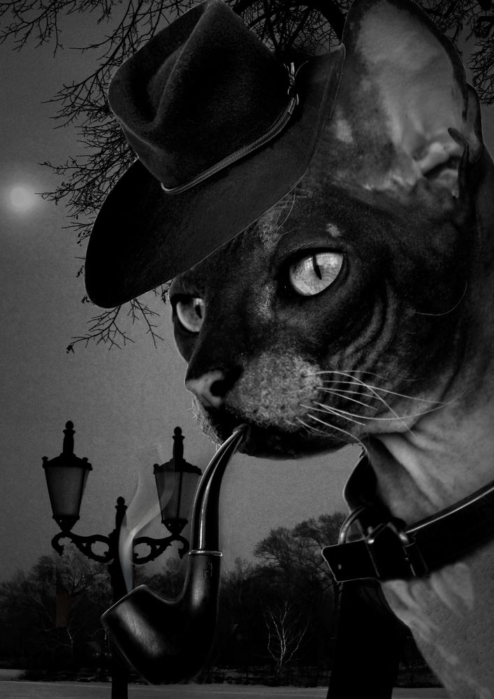 Photograph by Зоя Быкова