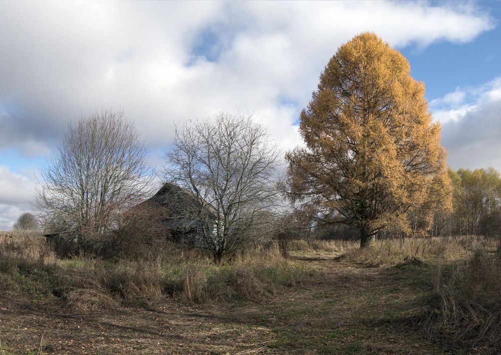 Photograph by Евгений