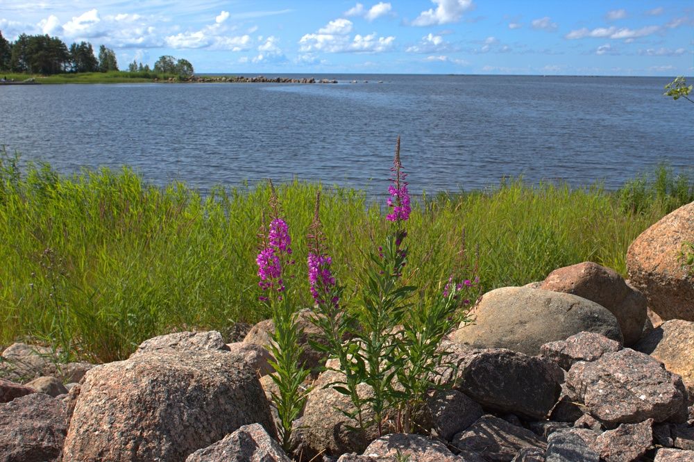 Photograph by Татьяна Черняева