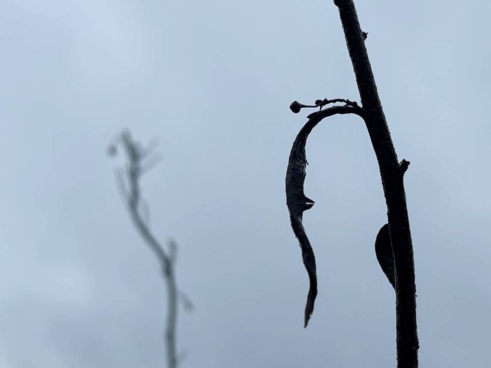 Но_я_б_рь / November