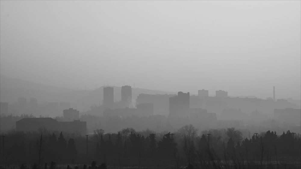 Photograph by David Pipia